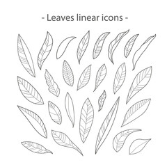 Linear leaf icons. A set of contour icons of various leaves. Elements of flora for the design of postcards, invitations, etc. Vector illustration