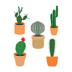 cactus houseplant icon