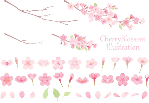 桜のベクターイラスト素材セット
