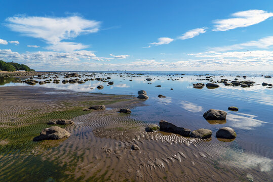 The Gulf of Finland with a shallow shore in the resort area of St. Petersburg.