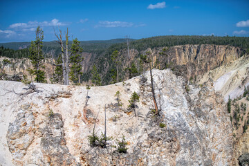 yellowstone national park landscape