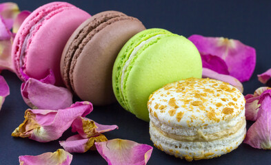 Colorful macaroons in a row with dried rose petals on dark background