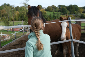 Teenage girl stroking a brown horse