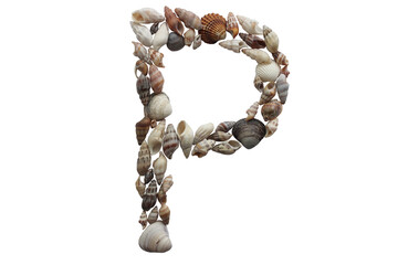 Letter P made with sea shell. Summer concept idea.	