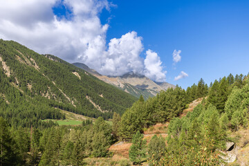 Clear autumn day on ideal for trekking Bardoney valley (Valle di Bardoney) coated with forests and meadows. Gran Paradiso National Park, Aosta valley, Italy 