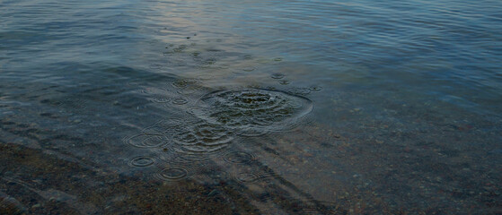 circles from the stone on the calm water of the lake