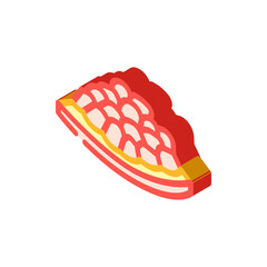 slice cut pomegranate isometric icon vector. slice cut pomegranate sign. isolated symbol illustration