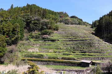 星野村　石積棚田