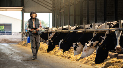 Farmer with a digital tablet in a cow farm. Herd management concept	