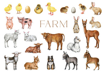 Farm animals and birds hand drawn set. Cow, pig, sheep, goat, chicken, duck, rabbit farm domestic animals big collection. Cute hand drawn piglet, chick, lamb, donkey, bunny on white background