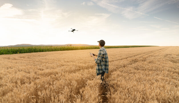 Farmer controls drone. Smart farming and precision agriculture	