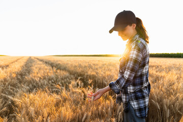 Woman farmer touches the ears of wheat on an agricultural field  © scharfsinn86