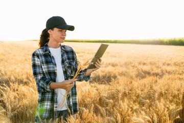 A woman farmer examines the field of cereals and sends data to the cloud from the tablet. Smart farming and digital agriculture.
