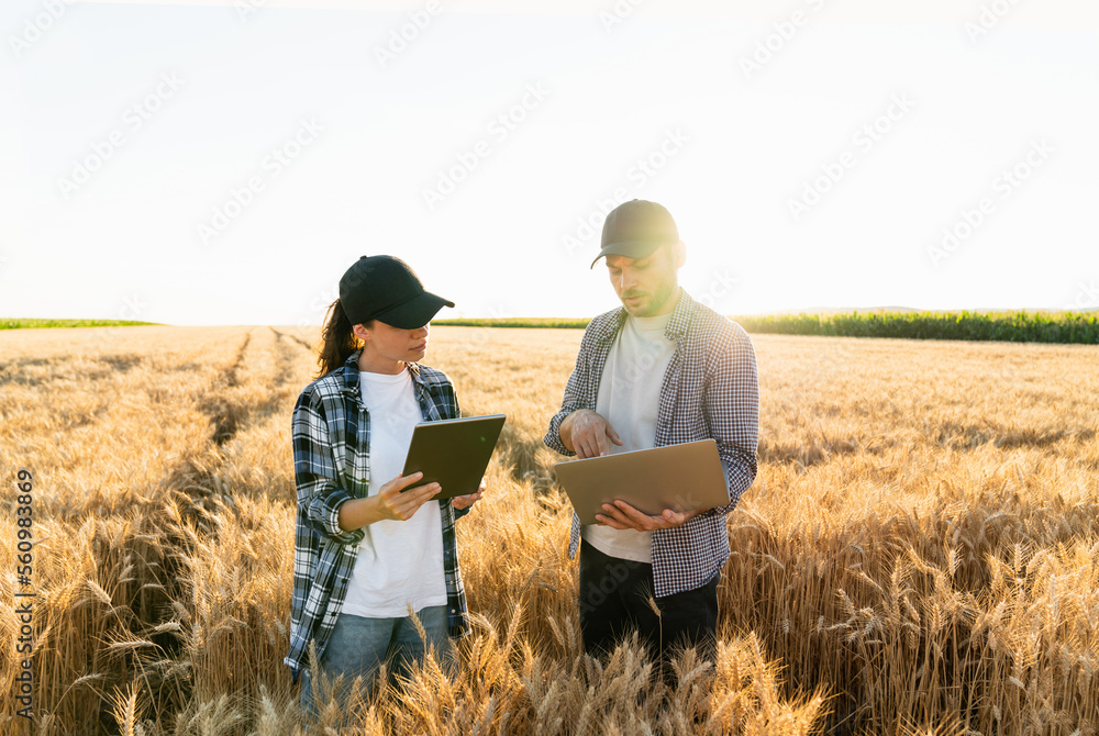 Poster couple of farmers examines the field of cereals and sends data to the cloud from the digital tablet 