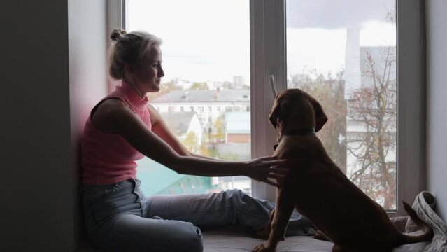 A woman sits with a Dogue de Bordeaux puppy on a windowsill.Playing at home with a large breed puppy