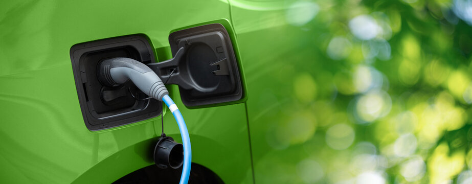 Close up of electric car inlet with a connected charging cable on a green background	