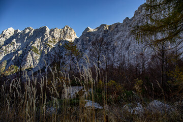 Hiking tour Križ - Stenar - Bovški gamsovec, Julian alps, Slovenia	