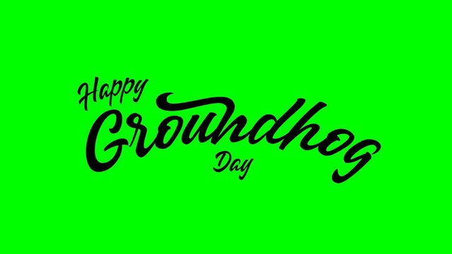 Happy Groundhog Day. Handwritten animated text with cute groundhog in greenscreen. 2 February. Lettering animation groundhog day. Suitable for groundhog day celebration or greeting card
