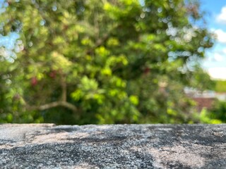 Selective focus of concrete wall platform with blur tree background.