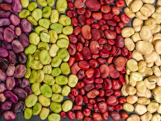 Pile of broad beans, background