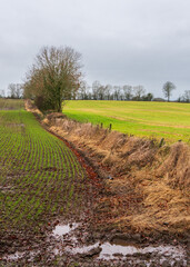 Field in County Antrim, UK