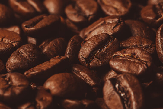 Grains de café, gros plan photographié en macro
