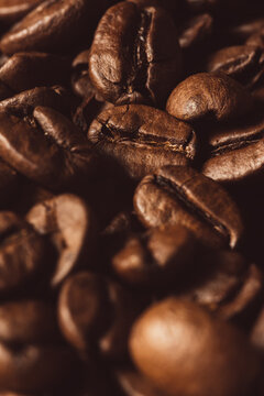 Grain de café parmis d'autres grains de café photographiés en macro-photographie