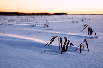 sunset  over big frozen lake in snow
