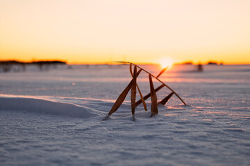 sundown over big frozen lake