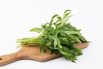 Danggui, a traditional Korean herbal medicine angelica