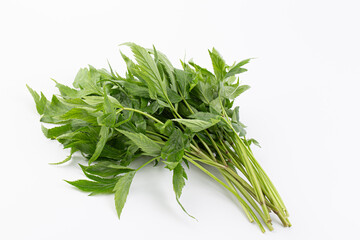 Danggui, a traditional Korean herbal medicine angelica