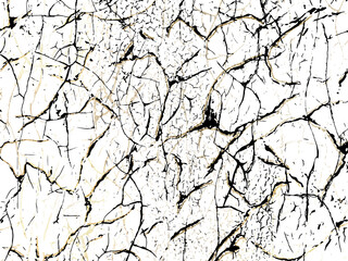 White and black marble canvas abstract painting background with gold texture. Vecto