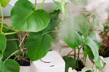 a white device for humidifying the air works near indoor plants. 