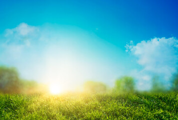 Obraz na płótnie Canvas field of grass background with blurred bokeh and sun