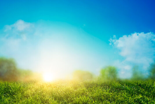 field of grass background with blurred bokeh and sun