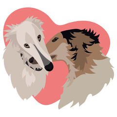 A pair of long hounds of greyhounds embrace against the background of a heart. The love of dogs. Valentine's Day greeting card. A festive banner with dogs. Printing on paper and textiles