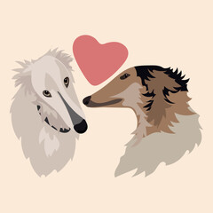 Fototapeta na wymiar A pair of long hounds of greyhounds embrace against the background of a heart. The love of dogs. Valentine's Day greeting card. A festive banner with dogs. Printing on paper and textiles