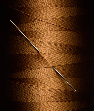 Close up of Needle in Gold Thread