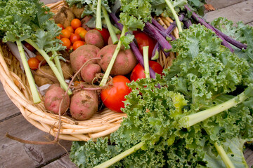 A basket of organic vegetables