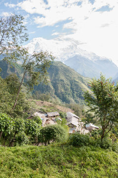 Himalaya village mountains houses snow trees