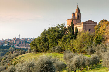 Basilica dell'Osservanza, Siena
