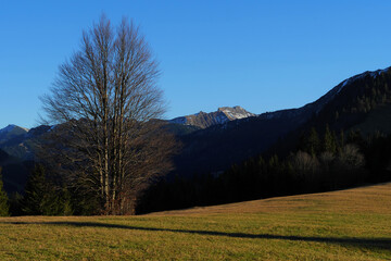 Blick zur Lochgehrenspitze (1995m) und Sulzspitze (2084m)