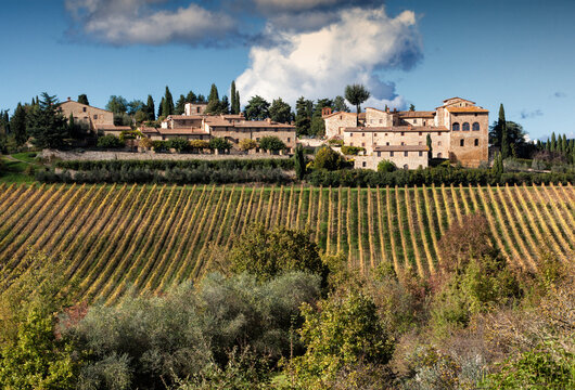 Lucignano, Arezzo. Vigneti di Chianti davanti al borgo