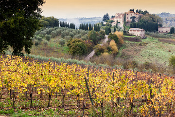 Val D' Orcia. Siena. Paesaggio con borgo e vigneto di Chianti
