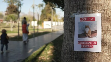 Two boys putting up missing pet banners. Cat lost in big city