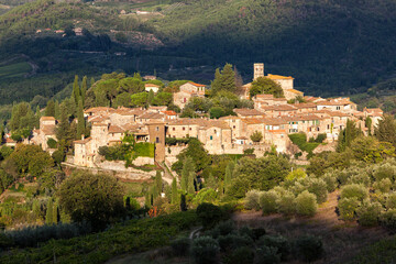 Montefioralle, Greve in Chianti. Firenze. Veduta del borgo  circondato da boschi