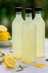 Fototapeta premium various salad vinegars in glass bottles. Front and top view. apple, lemon, strawberry, quince, grape, melon, apricot, tangerine, orange, grapefruit,