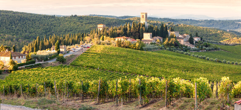 Passignano, Tavarnelle Val di Pesa, Firenze. La Badia tra i vigneti di Chianti