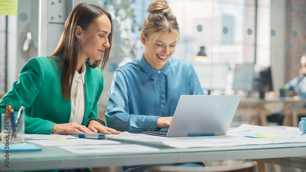 Poster Portrait of Two Creative Colleagues Collaborating and Pointing at the Laptop Screen in Office Hub. White Female Designer Discussing Work with Assistant and Choosing Marketing Strategy