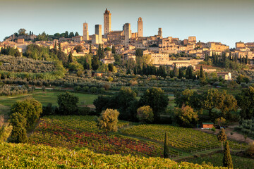Naklejka premium San Gimignano, Siena. Veduta della cittadina turrita nel contesto rurale